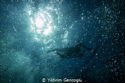 Flying in the space. by Yildirim Gencoglu 